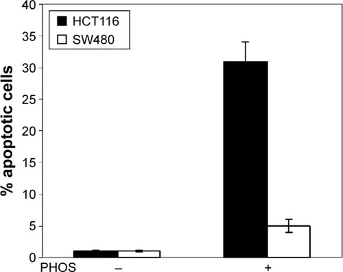Figure 6 Potassium-3-beta-hydroxy-20-oxopregn-5-en-17-alpha-yl sulfate (PHOS)-induced apoptosis in colorectal cancer cell lines.