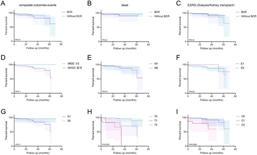 Figure 3. Survival in the two groups of IgAV-N patients and survival curves according to MEST-C scores in patients followed up for more than 6 months. (A) Survival without composite endpoint, defined as all-cause death, creatinine doubled, ESRD, dialysis, and kidney transplantation. (B) Survival without all-cause death. (C) Survival without creatinine doubled, ESRD, dialysis, and kidney transplantation. (D) Survival without composite endpoint (all-cause death, creatinine doubled, ESRD, dialysis and kidney transplantation) according to ISKDC pathological classification (class I/II vs. III-VI). (E-I) Survival without composite endpoint according to MEST-C scores, in sequence are M0 vs. M1; E0 vs. E1; S0 vs. S1; T0/T1/T2; C0/C1/C2. p < 0.05, statistically significant.