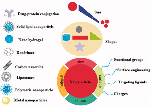 Figure 3. NPs categorized based on their size, material, surface, and shape.