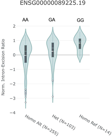 Figure 3 Violin plots showing the association between normalized intron-excision ratio and rs3825214 genotype. The GG allele was significantly correlated with increased intron excision in the heart. Data were generated using the Single‐Tissue eQTL function in the GTEx Data Portal.