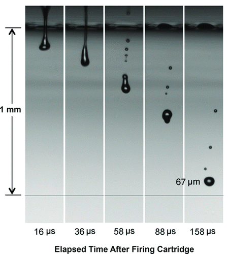 FIG. 2 Droplet formation from an IJAG. The liquid was a 0.1% suspension (m/v) of Bacillus atrophaeus spores, which are about 1 μm diameter, in water. The primary droplets are 67 μm diameter primary droplet and the satellites are about ¼ that size. Initial velocity of the liquid jet is about 5 m/s.