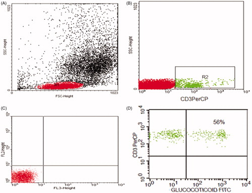 Figure 1. Flow cytometric detection of glucocorticoid receptor in T lymphocytes (CD3+/GCRs). (A) Forward and side scatter histogram was used to define the lymphocytes population (R1). (B) CD3+ cells was gated within the lymphocytes population (R1), compared with the negative isotype control (C). (D) The expression of glucocorticoid receptors within CD3+ cells was detected.