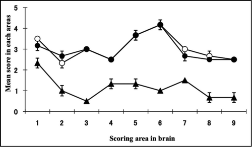 Figure 2 Lesion profile of TgBoPrP mice inoculated with C-BSE and BSE/JP24 prions. Vacuolation was scored on a 0–5 (mean values) in the following brain areas: 1, dorsal medulla; 2, cerebellar cortex; 3, superior cortex; 4, hypothalamus; 5, thalamus; 6, hippocampus; 7, septal nuclei of the paraterminal body; 8, cerebral cortex at the levels of 4 and 5; and 9, cerebral cortex at the level of 7. •: 1st passage of BSE/JP24 prion, ○: 2nd passage of BSE/JP24 prion, ▴: 1st passage of C-BSE prion.