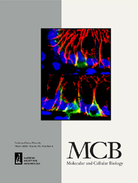 Cover image for Molecular and Cellular Biology, Volume 40, Issue 6, 2020