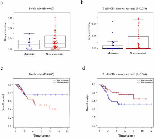 Figure 8. The level of immune cells and Kaplan-Meier analysis in patients with OS. (a) Relationship between the level of CD4 naïve T cells and metastasis. (b) Relationship between the level of T cells CD4 memory activated cells and metastasis. (c) The association between CD4 naïve T cells and overall survival of OS. (d) The association between T cells CD4 memory activated and overall survival of OS