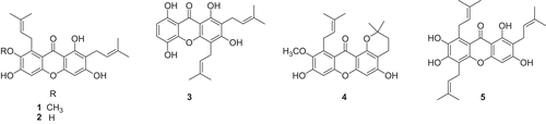 Figure 3.   Structures of compounds 1–5 from Garcinia mangostana fruits α-mangostin (1), γ-mangostin (2), gartanin (3), 1-isomangostin (4) and garcinone E (5).