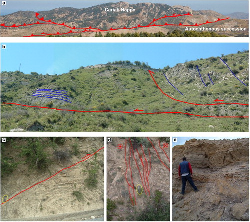 Figure 5. (a) Panoramic view the ‘Cariati Nappe’ from west to east; (b) thrust associated with main tectonic contact. Bedding shown with blue lines; (c) N–S and west dipping thrust associated with tight folds; (d) left-lateral strike-slip fault in the Miocene deposits. Component fault planes shown with red lines; (e) normal E–W oriented fault in the Pleistocene deposits.