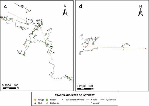Figure 8. Movement map of individuals in the four sampling sites. Lines of different colors represent the movements of each cricetid rodent. Nests, feeders, and shelters are represented in figures. There is no observable movement pattern. The figure shows sampling sites C and D. The detailed information on the individuals is found in Appendix C.