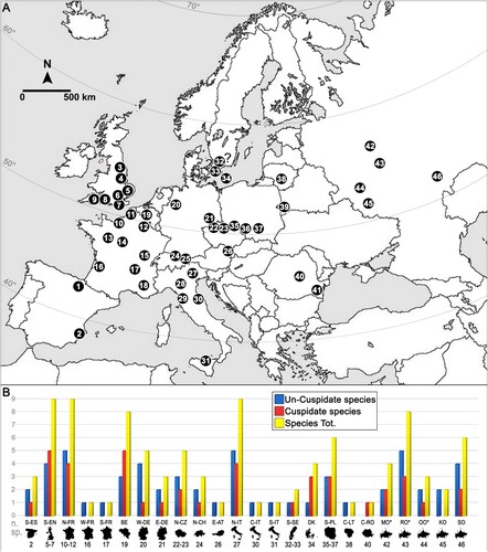 FIGURE 11. European localities that yielded teeth of Ptychodus (A) with a comparison between the species richness (B) between main fossiliferous areas (BE, Belgium; C-IT, central Italy; C-LT, central Lithuania; C-RO, DK, Denmark; central Romania; E-AT, eastern Austria; E-DE, eastern Germany; KO, Kursk Oblast, Russia; MO, Moscow Oblast; N-FR, northern France; N-CH, northern Switzerland; N-CZ, northern Czech Republic; N-IT, northern Italy; OO, Oryol Oblast; RO, Ryazan Oblast; S-ES, southern Spain; S-EN, southern England; S-FR, southeastern France; S-IT, southern Italy; S-PL, southern Poland; S-SE, southern Sweden; SO, Saratov Oblast; W-DE, western Germany; W-FR, western France; see also Tables 1 and 2, and Tables S3 and Table S4 in Supplemental Data. Asterisks indicate the areas from which the material examined in this study comes. 1, western Pyrenees (Spain); 2, Ferriol-Elche (Spain); 3, Yorkshire (England); 4, Lincolnshire (England); 5, Suffolk, Norfolk, Essex (England); 6, Bedfordshire, Hertfordshire, Buckinghamshire (England); 7, Sussex, Surrey, Kent, Greater London (England); 8, Isle of Wight, Hampshire, Wiltshire, Dorset (England); 9, Devon (England); 10, Normandy (France); 11, Hauts-de-France (France); 12, Grand Est (France); 13, Pays de la Loire (France); 14, Centre-Val de Loire (France); 15, Bourgogne-Franche-Comté (France); 16, New Aquitaine (France); 17, Auvergne-Rhône-Alpes (France); 18, Provence-Alpes-Côte d’Azur (France); 19, Hainaut, Namur (Belgium); 20, Westphalia (Germany); 21, Saxony (Germany); 22, Úpohlavy (Czech Republic); 23, Benátky nad Jizerou, Březina, Lysá nad Labem (Czech Republic); 24, Oberriet, St. Gallen (Switzerland); 25, Vorarlberg (Austria); 26, Vienna (Austria); 27, Veneto (Italy); 28, Emilia-Romagna (Italy); 29, Tuscany (Italy); 30, Marche (Italy); 31, Sicily (Italy); 32, Oretorp (Sweden); 33, Annetorp (Sweden); 34, Bornholm Island (Denmark); 35, Wyszki (Poland); 36, Opole, Włodzienin (Poland); 37, Glanów, Mydlniki, Sobkow (Poland); 38, Kaunas, Skirsnemunė (Lithuania); 39, Brèst (Belarus); 40, Ormeniş (Romania); 41, Peştera (Romania); 42, Moscow Oblast (Russia); 43, Ryazan Oblast (Russia); 44, Oryol Oblast (Russia); 45, Kursk Oblast (Russia); 46, Saratov Oblast (Russia).