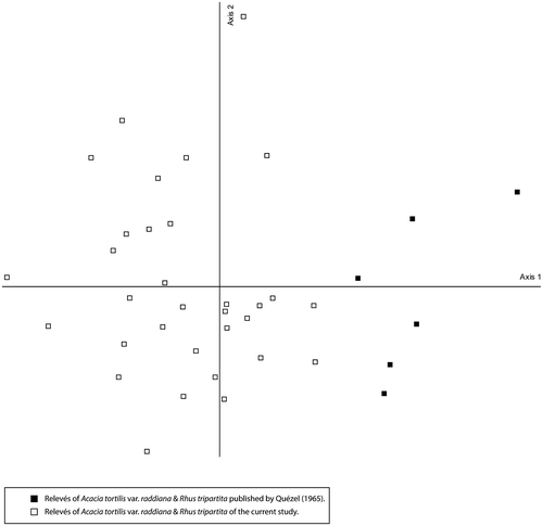 Figure 9. A comparative DCA of the Acacia tortilis var. raddiana and Rhus tripartita association relevés (Current study vs. Quézel Citation1965).