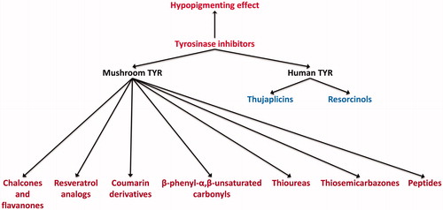 Figure 4. Chemical classification chart of tyrosinases (mushroom and human) inhibitors.