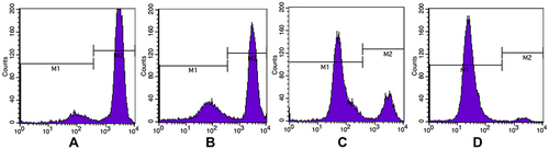 Figure 5 Effects of SMC on mitochondrial membrane potential of HepG2 cells.