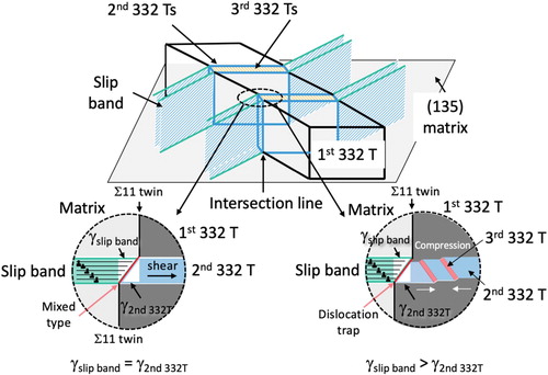 Figure 4. Schematic illustration of the 3D view and cross-sectional views concerning the formation sequence of primary 332 T, secondary 332 T and tertiary 332 T.