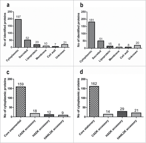 Figure 3. Predicted subcellular localization of identified extracellular proteins. The predicted subcellular localization of all 494 identified extracellular proteins is shown for cells in the exponential (a) and stationary (b) growth phases. Panels (c) and (d), respectively, highlight the appearance of predicted cytoplasmic core and accessory cytoplasmic proteins in the growth medium of the CADK, HADK and HANL-DE isolates in the exponential and stationary growth phases. The numbers of proteins identified in each category are indicated at the top of the bars.