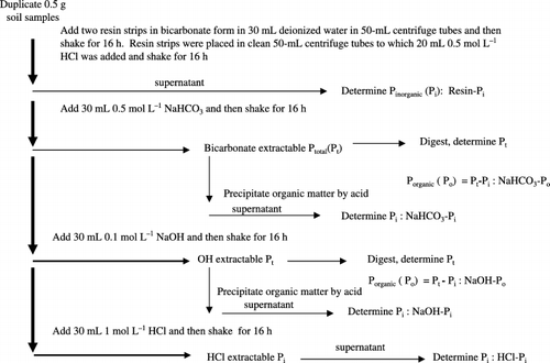 Figure 1  Flow chart of the phosphorus (P) fractionation into various inorganic and organic P fractions.
