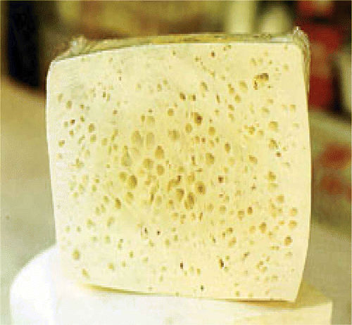 Figure 1  Photograph of Mihalic cheese.