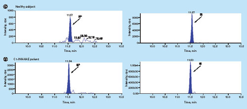 Figure 5. Representative 2D-LC–MS/MS chromatograms of surrogate peptide and internal standard in different matrices and samples.