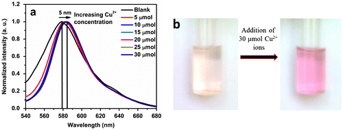 Figure 4. (a) Intensity-normalized emission spectra of polymer P3 (20 μmol) in the presence of different concentration of Cu2+ ion in Tris buffer at pH 7. (b) Photograph showing colour change of the polymer P3 (20 μmol) upon addition of 30 μmol Cu2+ ions in tris buffered solution (pH 7).