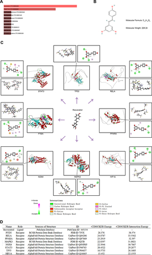 Figure 9 Potential therapeutic drug prediction and molecular docking. (A) The top ten potential therapeutic drugs ranked according to combined score in the DSigDB database. (B) The chemical structures of resveratrol. (C) Molecular docking simulations showed that resveratrol formed stable complexes with all key FRGs. (D) Detailed information on molecular docking simulations of resveratrol with all key FRGs.