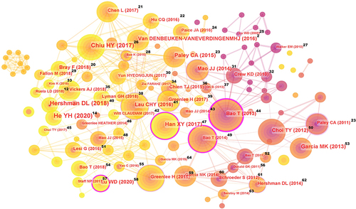 Figure 10 Co-citation map of references on acupuncture therapy for cancer pain.