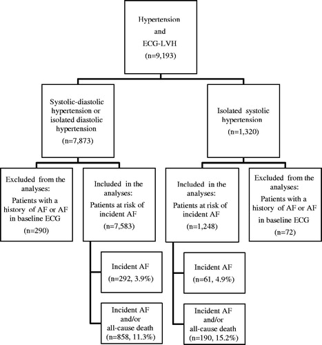 Figure 1. Flow chart of the patients who participated in the present study.