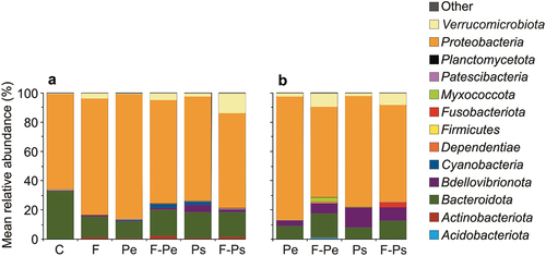 Figure 4. The relative abundances (top 13 most abundant ASVs) of the dominant bacteria taxa at the phylum level in water (a) and on the microplastic particle surface (b) at the end of the experiments (mean ± 1SD) in all of the treatments. If the frequency was lower than 0.2%, the taxa were assigned to the “Other” category.