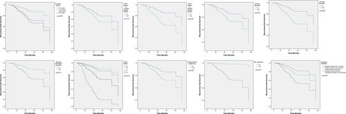 Figure 1 Kaplan-Meier disease-free survival curve of variable in training cohort.