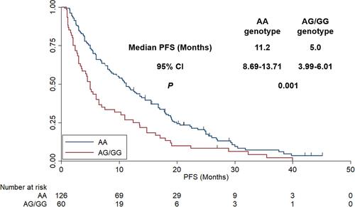 Figure 2 The progression-free survival of the 186 patients with high-grade glioma according to genotype status GSTP-1 313A>G.