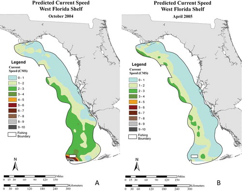 FIGURE 4. Maps of monthly predicted bottom current speeds (cm/s) within the shrimp fishing boundary in (A) October 2004 and (B) April 2005.