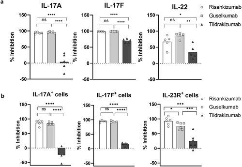 Figure 4. Treatment of naïve T cells in TH17 polarizing conditions with IL-23 antibodies results in loss of terminally differentiated IL-17+ cells and accumulation of TH17 differentiation intermediates. (a) The inhibition of IL-17A, IL-17 F and IL-22 cytokine secretion by IL-23 antibodies at day 4 of TH17 polarization analyzed by multiplex. (b) The inhibition of IL-17A, IL-17 F, and IL-23 R expressing cells by IL-23 antibodies at day 4 of TH17 polarization analyzed by mass (IL-17A, IL-17 F; n = 5) or flow (IL-23 R; n = 6) cytometry. ns. not significant. * p ≤ 0.05; ** p ≤ 0.01; *** p ≤ 0.005; **** p ≤ 0.001. (c) UMAP dimension reduction of all events from mass cytometry analysis of all day 4 treatment groups shows the landscape of populations arising during TH17 differentiation. PhenoGraph cell clustering identified 28 populations as shown in the legend. The Wanderlust algorithm was run using PhenoGraph population 2 as the seed population, and populations were then numbered according to the Wanderlust predicted order of differentiation. The red line indicates a likely path of differentiation. The terminally differentiated clusters expressing IL-17A (cluster 27), IL-17 F (cluster 26) or IL-17A and IL-17 F (cluster 28) are shown along with the expression of IL-17A and IL-17 F. (d) The UMAP plot of mass cytometry data from (c) is shown for individual treatment groups, which demonstrates the redistribution of populations as a result of treatment with IL-23 antibodies. Terminally differentiated IL-17hi clusters are highlighted with black rectangles. (e) Volcano plots show the fold change of PhenoGraph clusters following treatment with risankizumab compared to the TH17 control, guselkumab compared to the TH17 control, and risankizumab compared to guselkumab treatment. A false discovery rate (FDR) of 0.05 is shown with the dotted line to indicate the threshold for significant change. Populations that changed significantly are shown in green. n = 5 in c-e