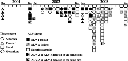 Figure 1. Time-line of ALV isolations made in Australian broilers between May 2001 and December 2003. The shading of a shape depicts the subgroup of the ALV that was isolated: ALV-J (black) or ALV-A (grey)-negative samples are not coloured. The time scale shows the month in which the isolation was made. The different symbols indicate the type of sample from which an isolation was made. Diagonal dual shading indicates dual infection in an individual bird. Vertical dual shading indicates flocks with both subgroups present (not in individual birds). * The single occasion when a flock has been sampled twice, being first at 30 weeks of age (June 2003) and then at 40 weeks of age. The majority of samples are from breed A; those isolations performed from breed B birds are indicated within the shape with the letter B.