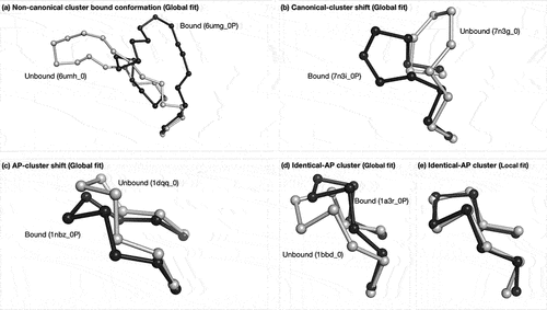 Figure 9. Example of each conformational change type. The figure shows one locally fitted CDR-H3 unbound/bound pair for each conformational change type. The bound CDR-H3 loop is colored black and the unbound loop is gray. (a) Non-canonical cluster conformation: unbound (6umh_0) and bound (6umg_0P), global Cα RMSD of 8.41Å; (b) Canonical-cluster shift: unbound (7n3g_0) and bound (7n3i_0P), global Cα RMSD of 5.28Å; (c) AP-cluster shift: unbound (1kcv_0) and bound (1kcs_0P), global Cα RMSD of 2.38Å; (d) and (e) identical-AP cluster — (d) is locally fitted and (e) is globally fitted to show the loop ‘flapping’ effect. (d) global Cα RMSD 2.27Å, (e) global Cα RMSD 0.54Å.