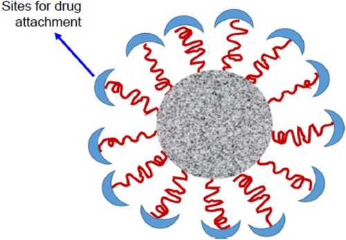 Figure 26 A schematic illustration of biological nanocarrier.Notes: Reproduced from ud Din F, Aman W, Ullah I, et al. Effective use of nanocarriers as drug delivery systems for the treatment of selected tumors. Int J Nanomed. 2017;12:7291-7309.Citation8