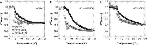 Figure 3. Cell volume response of 3T3 cells during cooling from 4°C down to −30°C at 1°C min-1, with ice nucleation at −5°C, in the absence of cryoprotective agents (A) and in presence of 5% DMSO (B) or glycerol (C). The cell volume response was determined as changes in cell size using cryomicroscopy (open squares) as well as derived from changes in the membrane lipid band (FTIR-νCH2; black squares) and water band (FTIR AνH2O; gray squares) determined using FTIR. Cell volumes were normalized towards the initial value prior to ice nucleation, and FTIR data were scaled towards the end volume as assessed using cryomicroscopy.