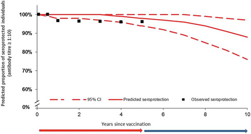 Figure 3. Observed and predicted seroprotection rates from D28 to Y10 in children, using the piecewise linear model. The red and blue arrows indicate the period of time for which real-life data were collected (red) and the period of time over which the model is extrapolated (blue).