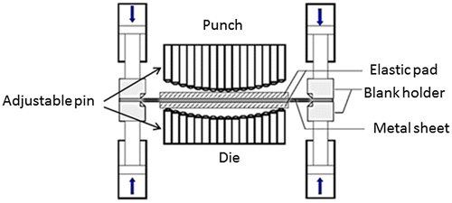 Figure 1. Schematic diagram of MPF process using blank holder.
