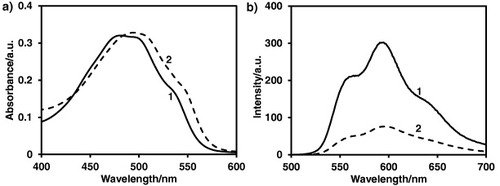 Figure 3. (a) Absorption and (b) fluorescence spectra of (1) DOX and (2) DOX/PS–PAA–PEG, respectively.