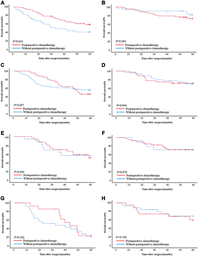 Figure 4 The impact of chemotherapy on prognosis in GSII-Low and GSII-High. (A and B) The effect of chemotherapy on patients who are less than 60 years old in GSII-Low and GSII-High in the training cohort. (C and D) The effect of chemotherapy on patients over 60 years old in GSII-Low and GSII-High in the training cohort. (E and F) The effect of chemotherapy on patients who are less than 60 years old in GSII-Low and GSII-High in the validation cohort. (G and H) The effect of chemotherapy on patients over 60 years old in GSII-Low and GSII-High in the validation cohort. (A, C, E and G) GSII-Low. (B, D, F, H) GSII-High.