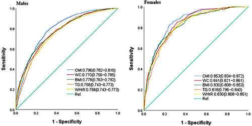 Figure 5 ROC curve comparison of obesity-related indices and TG in predicting MAFLD by sex.