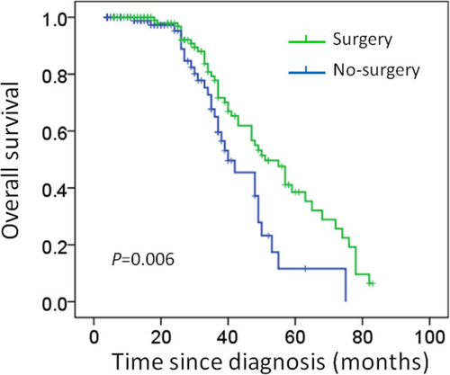 Figure 1 Kaplan–Meier curves estimate overall survival in de novo stage IV breast cancer (Median survival was 35 months in the surgery group vs 22 months in the no surgery group; Log rank test: P = 0.006).