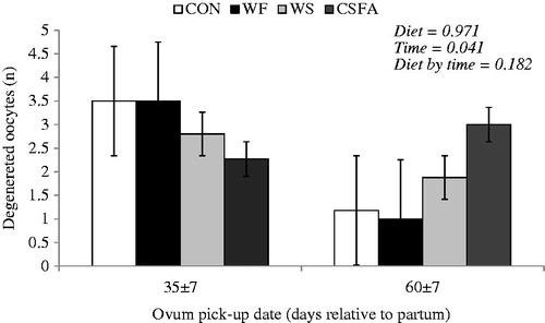 Figure 1. Degenerated oocytes of cows fed diets rich in omega-3 or omega-6 fatty acids during the transition period and early lactation. Diets: control (CON, with no fat sources); whole flaxseed (WF, diet rich in omega-3 FA), 60 and 80 g/kg of WF during the pre and post-partum, respectively; whole raw soybeans (WS, diet rich in omega-6 FA), 120 and 160 g/kg of WS during the pre and post-partum; and calcium salts of unsaturated fatty acids (CSFA, diet rich in omega-6 FA), 24 and 32 g/kg of CSFA during the pre- and post-partum.