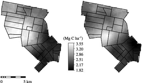 Figure 5  Potentially mineralizable carbon map, left is 2001 and right is 2003 data.