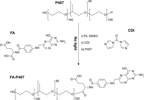 Figure 2 Synthesis of FA-P407 conjugate.Notes: FA and P407 were conjugated by CDI-mediated coupling, purified by dialysis, and recovered by freeze drying.Abbreviations: FA, folic acid; P407, poloxamer 407; CDI, 1,1′-carbonyldiimidazole; DMSO, dimethyl sulfoxide.