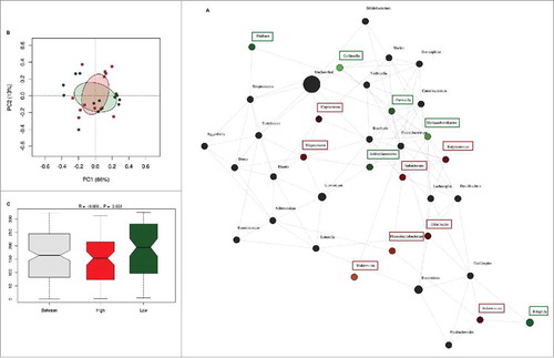 Figure 3. Differences in microbiota composition according to high and low fiber intake. (A) Network analysis based on high (n = 13) and low (n = 13) dietary fiber intake. Genera are represented as nodes. Green nodes represent genera overrepresented in the low-fiber group. Red nodes represent genera overrepresented in the high-fiber group. Color intensity explains the strength of the associations with fiber intake. (B) Principal component analysis showing the clustering of selected samples based on high (red) and low (green) fiber intake. (C) Identification of significant associations between low and high dietary fiber groups by Anosim test.