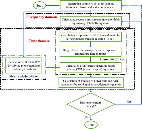 Figure 4. A step-by-step flowchart of the process for assessing FUS-mediated nano-sized DDS in the present study.
