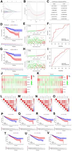 Figure 3 (A–B) Least absolute shrinkage and selection operator (LASSO) regression, calculating the minimum criteria; (C) coefficients of selected lncRNAs; (D) Kaplan–Meier curves showed that the high-risk subgroup had worse overall survival than the low-risk subgroup in the training set; (E) distributions of risk scores and survival status of renal cell carcinoma patients in the training set; (F) receiver operating characteristic (ROC) curves of m6A-related lncRNAs significance for predicting the overall survival in the training set; (G) Kaplan–Meier curves showed that the high-risk subgroup had worse overall survival than the low-risk subgroup in the test set; (H) distributions of risk scores and survival status of renal cell carcinoma patients in the test set; (I) receiver operating characteristic (ROC) curves of m6A-related lncRNAs significance for predicting the overall survival in the test set; (J) heatmap of the expression of m6A-related lncRNAs in the high- and low-risk subgroups of the training set; (K) heatmap of the expression of m6A-related lncRNAs in the high- and low-risk subgroups of the test set; (L) correlation matrix of PD-L1 and 7 critical prognostic m6A-related lncRNAs; (M) correlation matrix of PD-1 and 7 critical prognostic m6A-related lncRNAs; (N) correlation matrix of CTLA4 and 7 critical prognostic m6A-related lncRNAs; (O) correlation matrix of LAG3 and 7 critical prognostic m6A-related lncRNAs; (P–V) the expression levels of AC108449.2, AF117829.1, AL008718.3, AL031670.1, CHROMR, COL18A1−AS1, and LINC00342 were significantly correlated with the prognosis of patients with ccRCC (all p values <0.01).