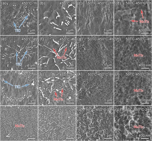 Figure 10. SEM images of samples (a, b, e, f, i, j, m, n) without thermal cycles and (c, d, g, h, k, l, o, p) with 50 thermal cycles (50TC) aged at 450°C for (a–d) 1 h, (e–h) 4 h, (i–l) 8 h, (m–p) 24 h, respectively.