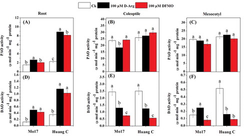 Figure 3. Effects of D-Arg and DFMO on PAO activity (a-c) and DAO activity (d-f) in the root, coleoptiles and mesocotyls of two maize inbred lines under chilling stress