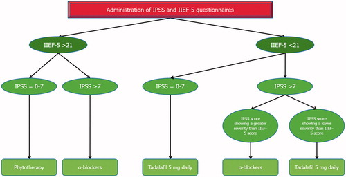 Figure 1. Flow-chart of a practical andrological evaluation of a patient with benign prostatic hyperplasia to decide first drug-therapeutic approach.