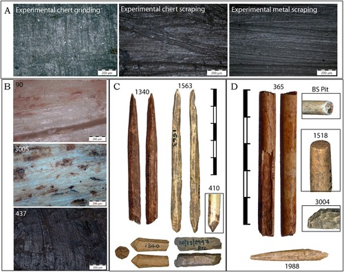 Figure 4 Broederstroom manufacturing traces: a) experimental referents of the two manufacturing techniques used to fashion bone tools at the site, showing from left to right manufacturing striations that accrue through grinding in one direction against a piece of chert, scraping with a chert blade and scraping with a metal blade; b) examples of manufacturing traces on three bone tools of the site, showing scraping with a metal blade (#90), possible scraping with a retouched lithic blade (#3005) and scraping with a metal blade while the bone was wet (#437); c) macroscopic examples of faceting and scraping; d) macroscopic examples of grinding, ring-snaps and deliberately flattened ends. Note the incision on #1988, which is a failed ring-snap modification.